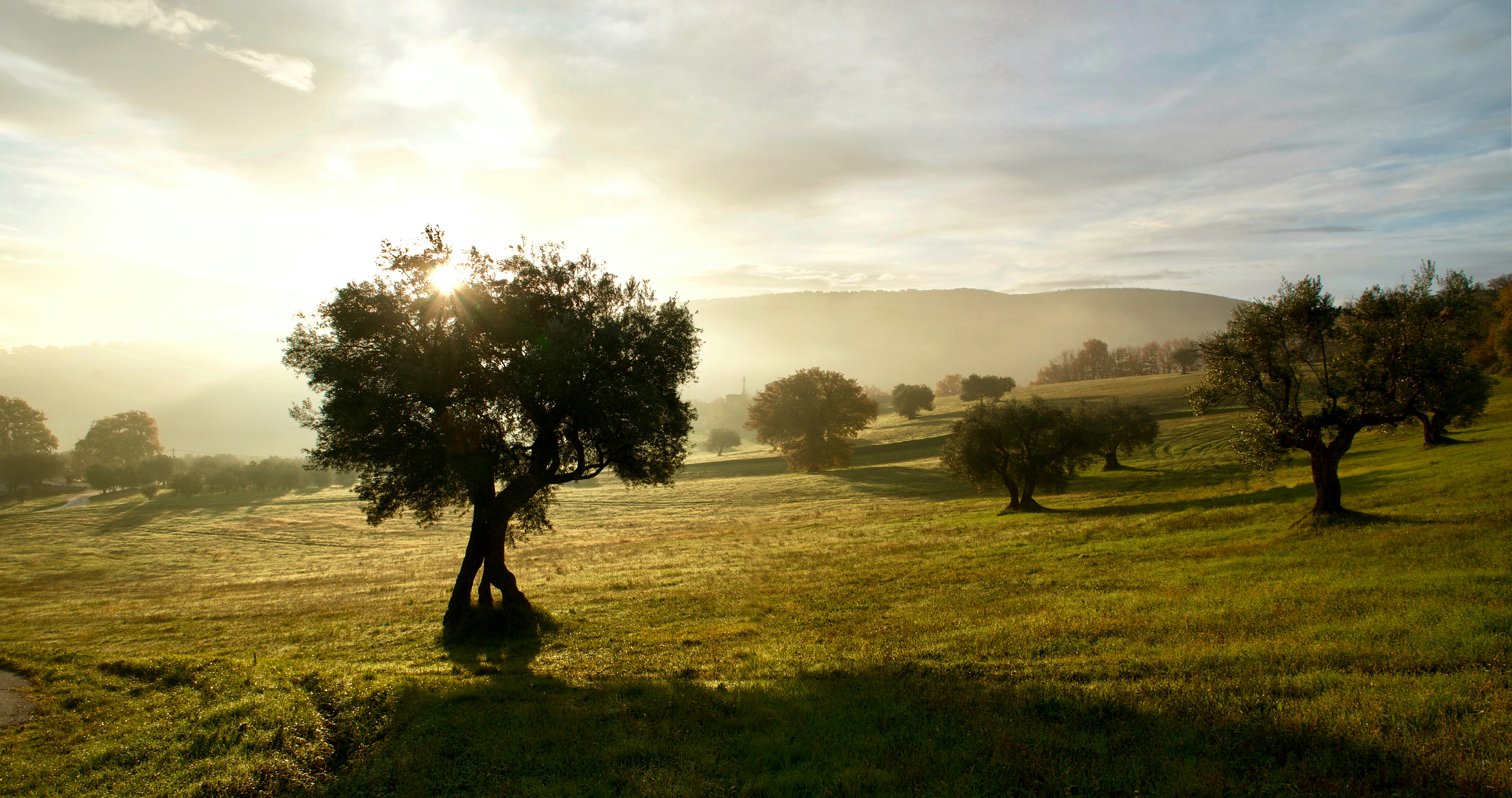 Toscana · Siena