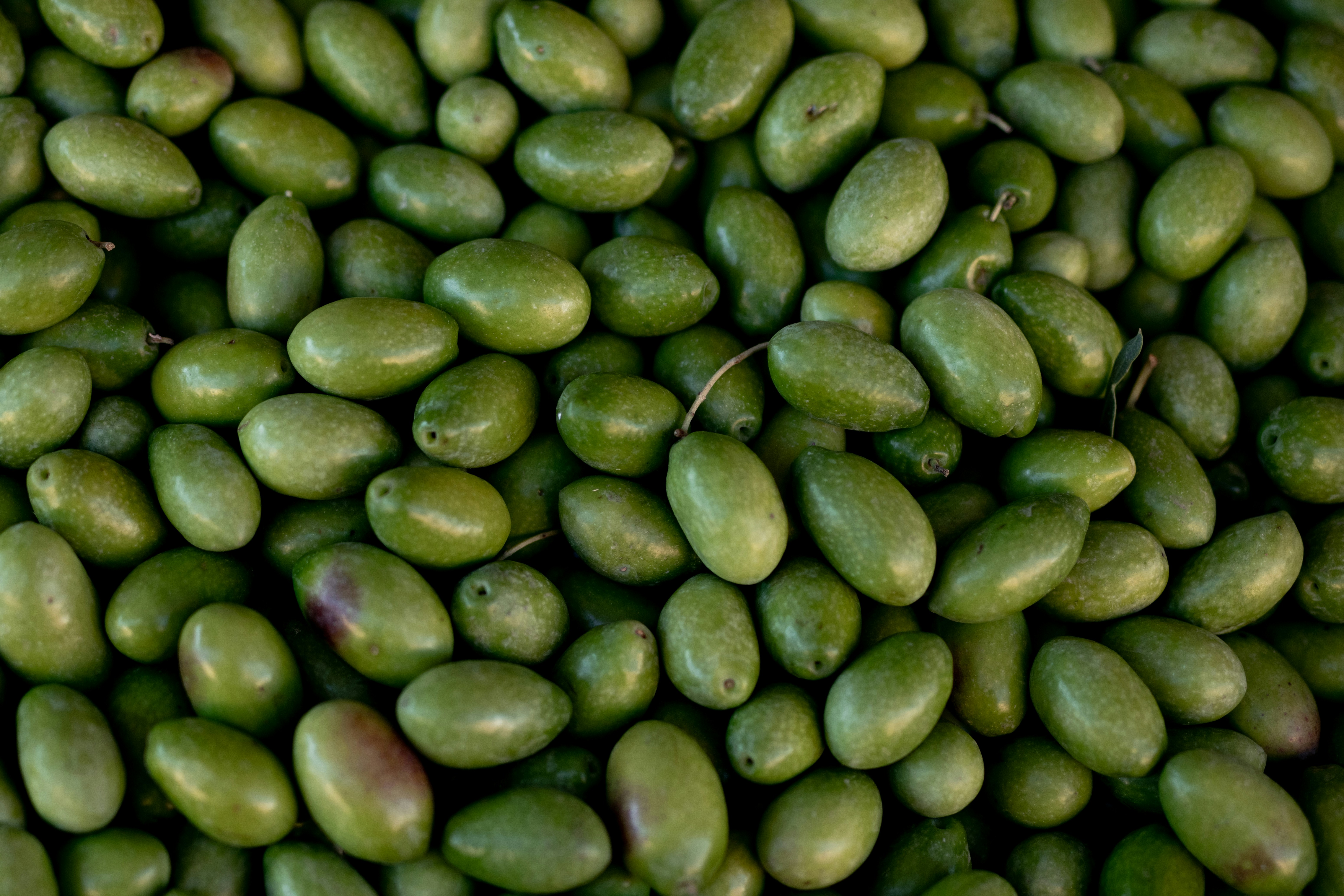 Huile d'Olive